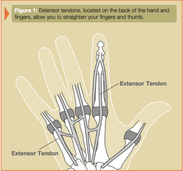 Thumb Extensor Tendonitis